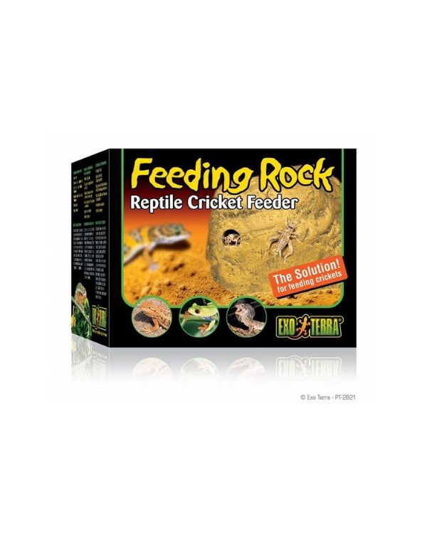 Exo Terra Alimentador Feeding Rock