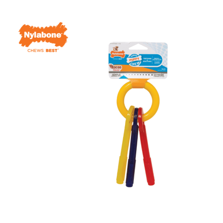 Chaves Nylabone Puppy Teething Keys