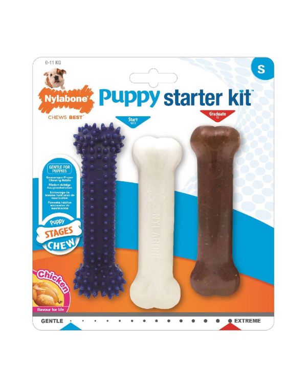 Osso Nylabone puppy starter kit