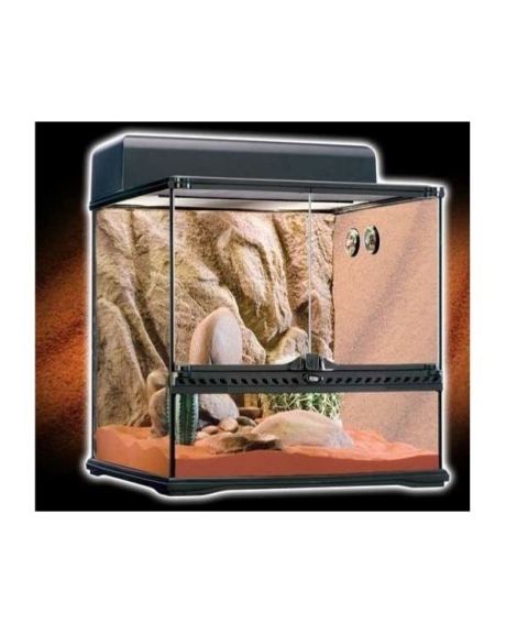 Kit Terrário Desértico Exo Terra