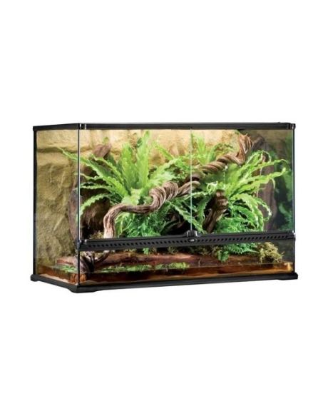 Terrários Tall Exo Terra - grande
