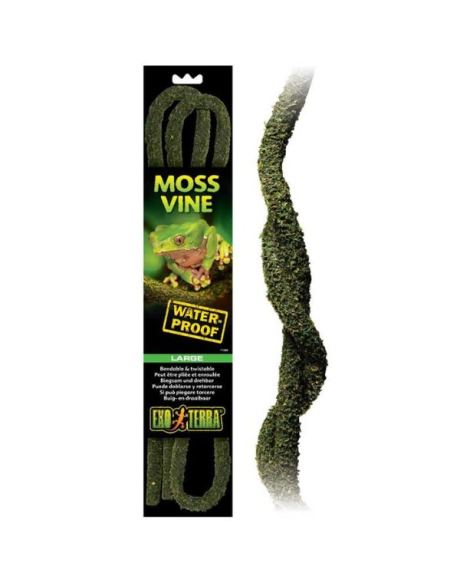 Lianas Moss Vine Exo Terra