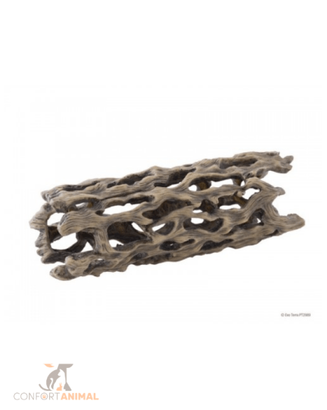 cacto cholla exoterra l
