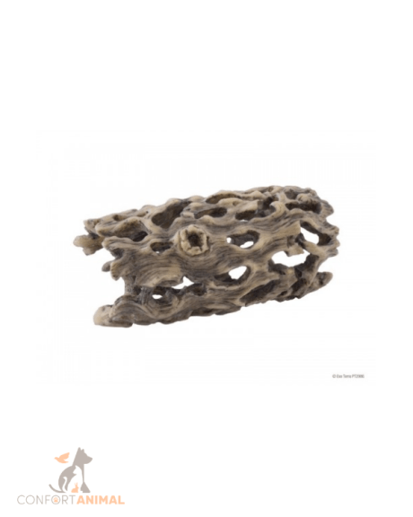 cacto cholla exoterra s