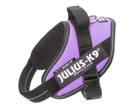 Arnês Julius K9 IDC roxo