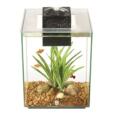 Aquário Fluval Chi 19l
