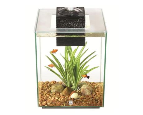 Aquário Fluval Chi 19l
