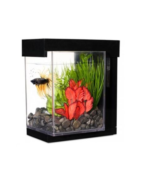 Beteira Ez Care Style Marina 3,7 L