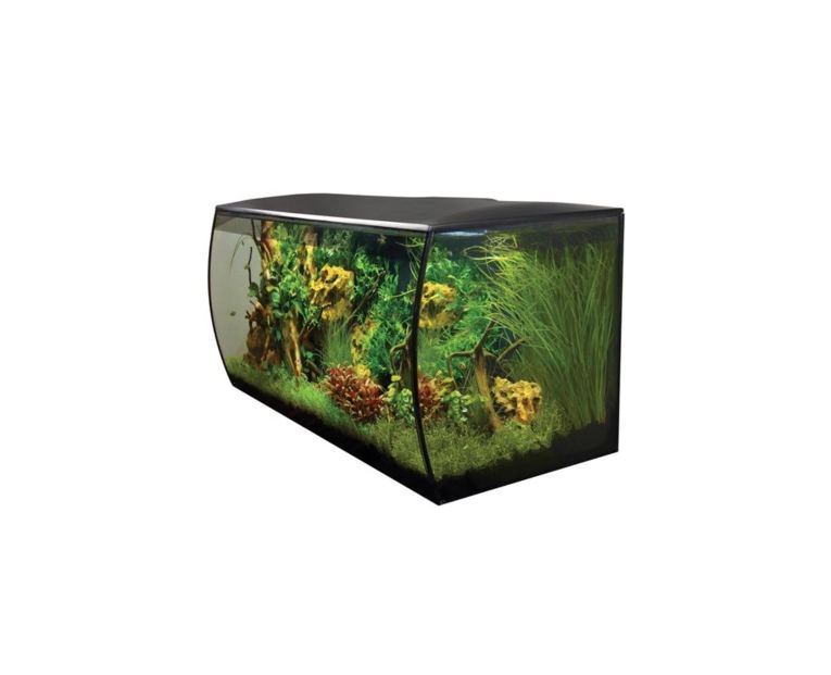 O Kit Aquario Fluval Flex são a nova série de aquário Fluval Flex, portanto oferece um estilo contemporâneo com o distinto vidro frontal côncavo. 