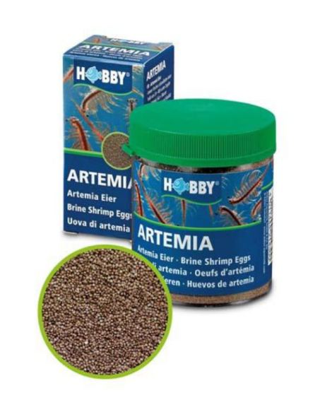 Hobby Ovos de Artémia 2