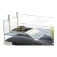 Rampa do terrário Tartarium em vidro para tartarugas