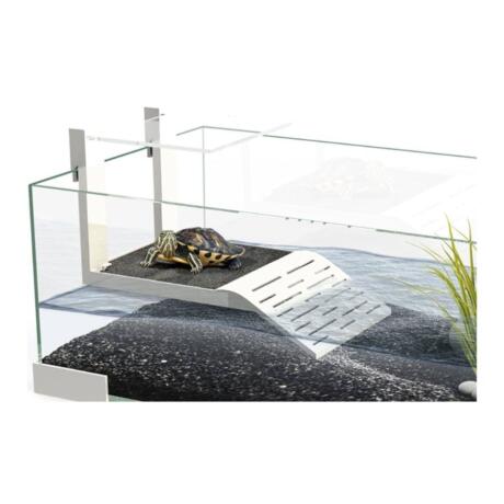 Rampa do terrário Tartarium em vidro para tartarugas