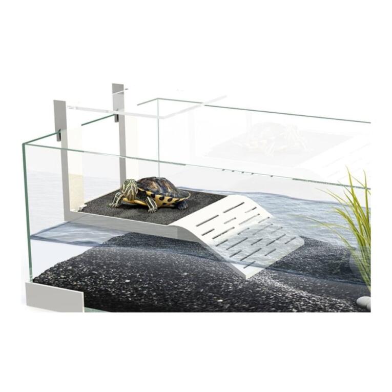 Rampa do terrário Tartarium em vidro para tartarugas
