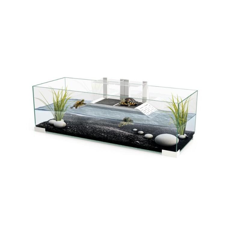 Terrário em vidro Tartarium para tartarugas