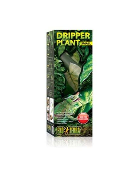 Dripper Plant Exo Terra