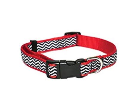 Coleira Rosewood Wave Collar