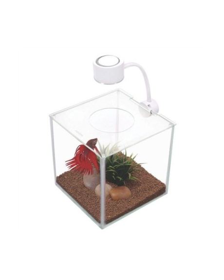 A Beteira Cubo Cristal Marina 3,4L tem tudo o que precisa para manter os peixes bettas felizes e criar uma atração adicional em sua mesa. Acima de tudo, um aquário bastante elegante que ficará bem em qualquer ponto de sua casa!