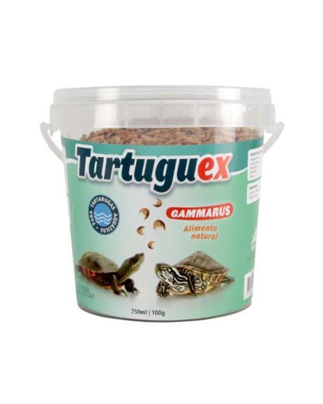 Camarões Tartaruguex Gammarus