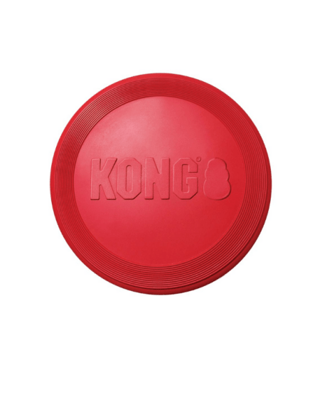 kong classic flyer