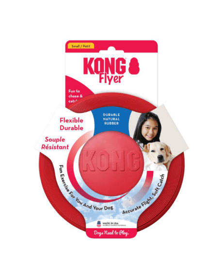 kong classic flyer 1