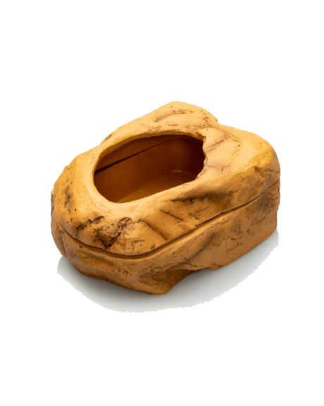 worm dish giganterra