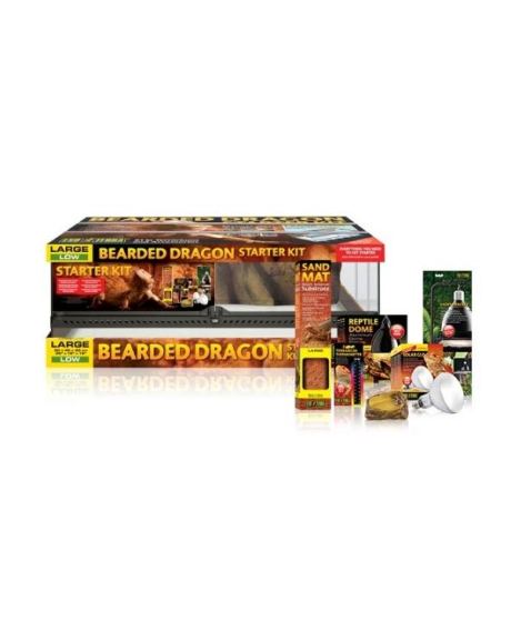 Kit de Iniciação Terrários Dragão Barbudo Exo Terra