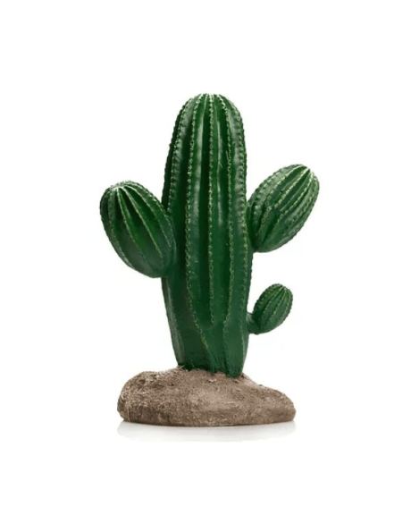 cactus 10 giganterra grande