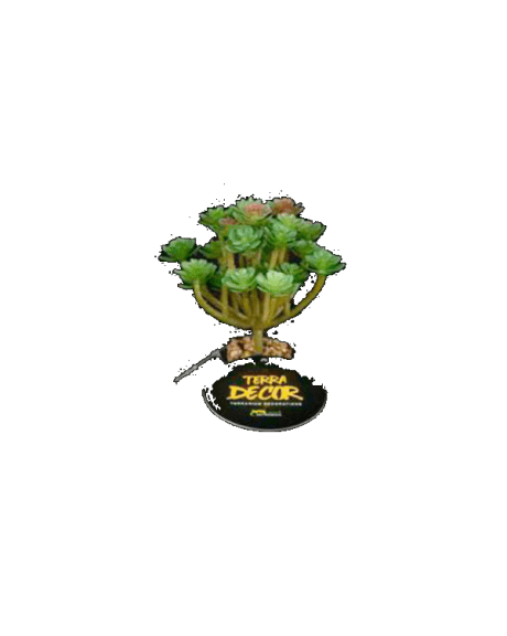 planta fluid com flor