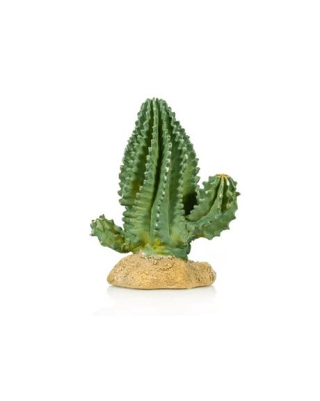 Cactus 1 Giganterra