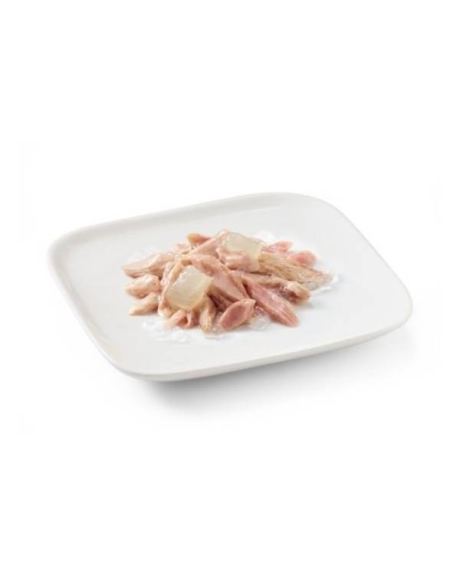 comida húmida cachorro atum