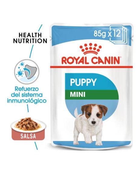 royal puppy mini