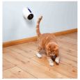 laser pointer trixie gato