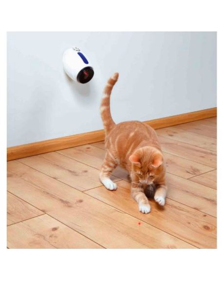 laser pointer trixie gato