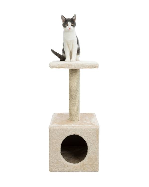 arranhador junior gato
