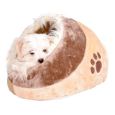gruta cama moni cão