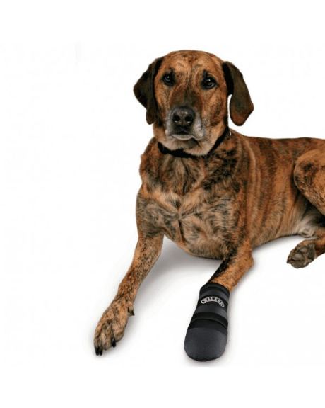botas protetoras trixie cão