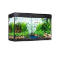 Fluval Roma 125L c/Iluminação Led Bluetooth