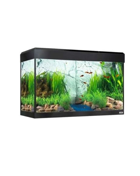 Fluval Roma 125L Preto