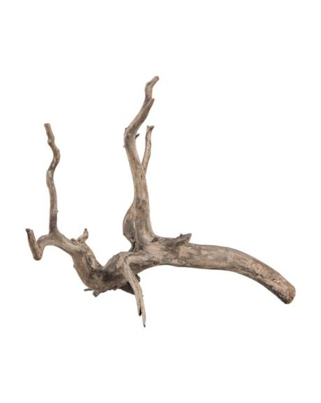 Raiz Sera Scaper Root XS