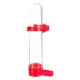 bebedouro para aves vermelho