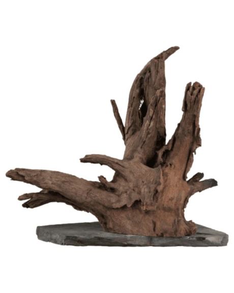 sera raiz scapar wood
