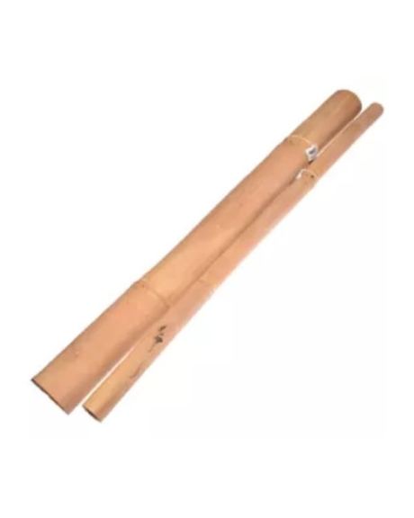 Cana de Bamboo Giganterra