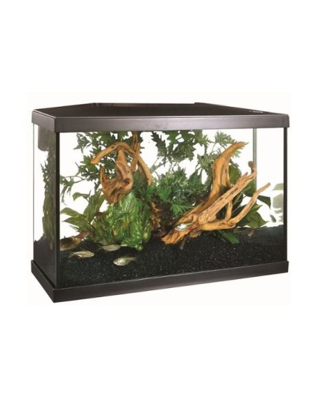Kit Aquario Marina 75 Litros