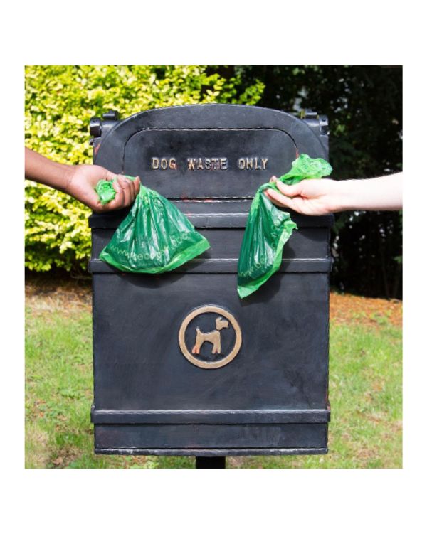 Sacos biodegradáveis Beco Bags lixo