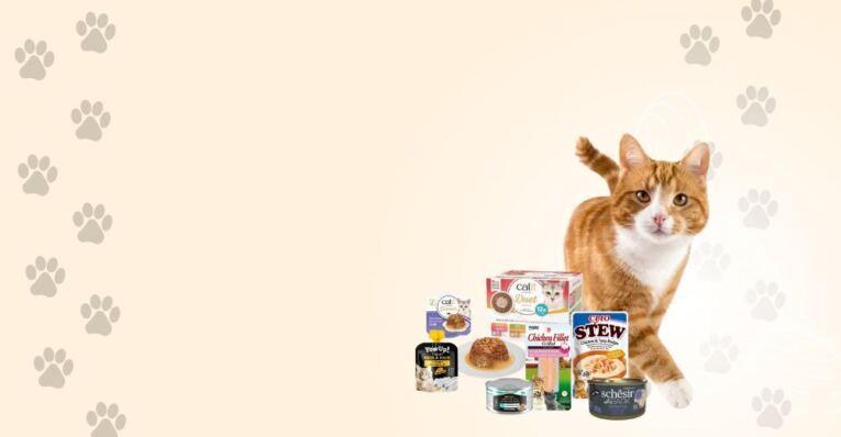 comida húmida para gatos