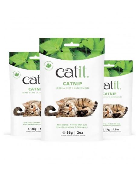 CATNIP SECO CATIT
