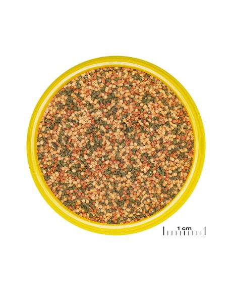 JBL ProNovo Bel Grano S