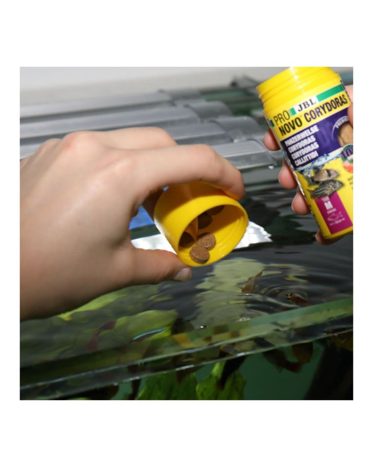 JBL ProNovo Corydoras Tabs M – 100 ml frasaco