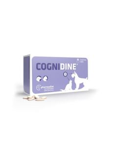Cognidine é um alimento complementar que aporta nutrientes que ajudam o sistema cognitivo, em cães e gatos.