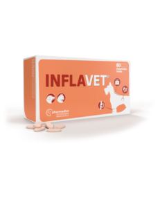 Inflavet - 60 Comprimidos é um alimento complementar natural para cães e gatos, especialmente indicada para aliviar os sintomas da dor e processos inflamatórios crónicos.